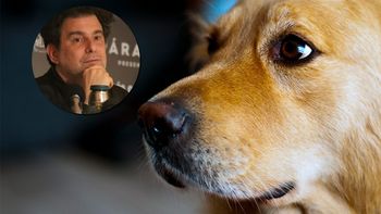 Andrés Calamaro y su polémica frase sobre los perros