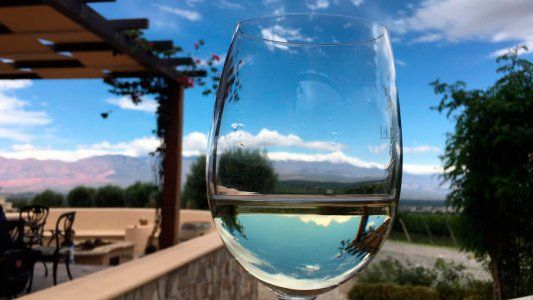 La exportación de vinos aumentó un 63,8% en enero y el formato “bag in box fue el que más creció