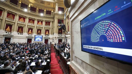 Con más de 2/3, Diputados rechazó el veto presidencial a la ley de emergencia en discapacidad