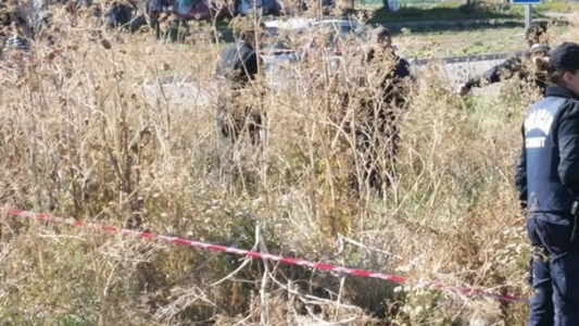 Chubut: un grupo de perros encontró restos humanos en un descampado