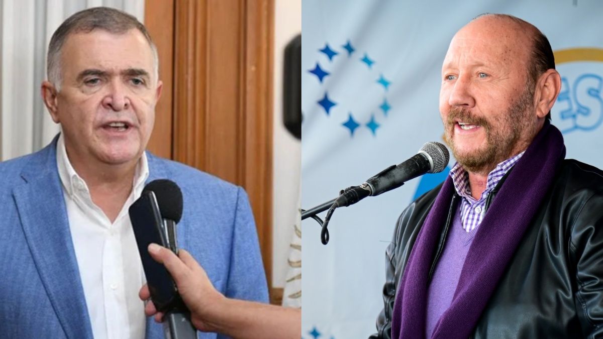 Los gobernadores de Tucumán y Formosa se pronunciaron en contra de Javier Milei: Viene a destruir. (Captura)