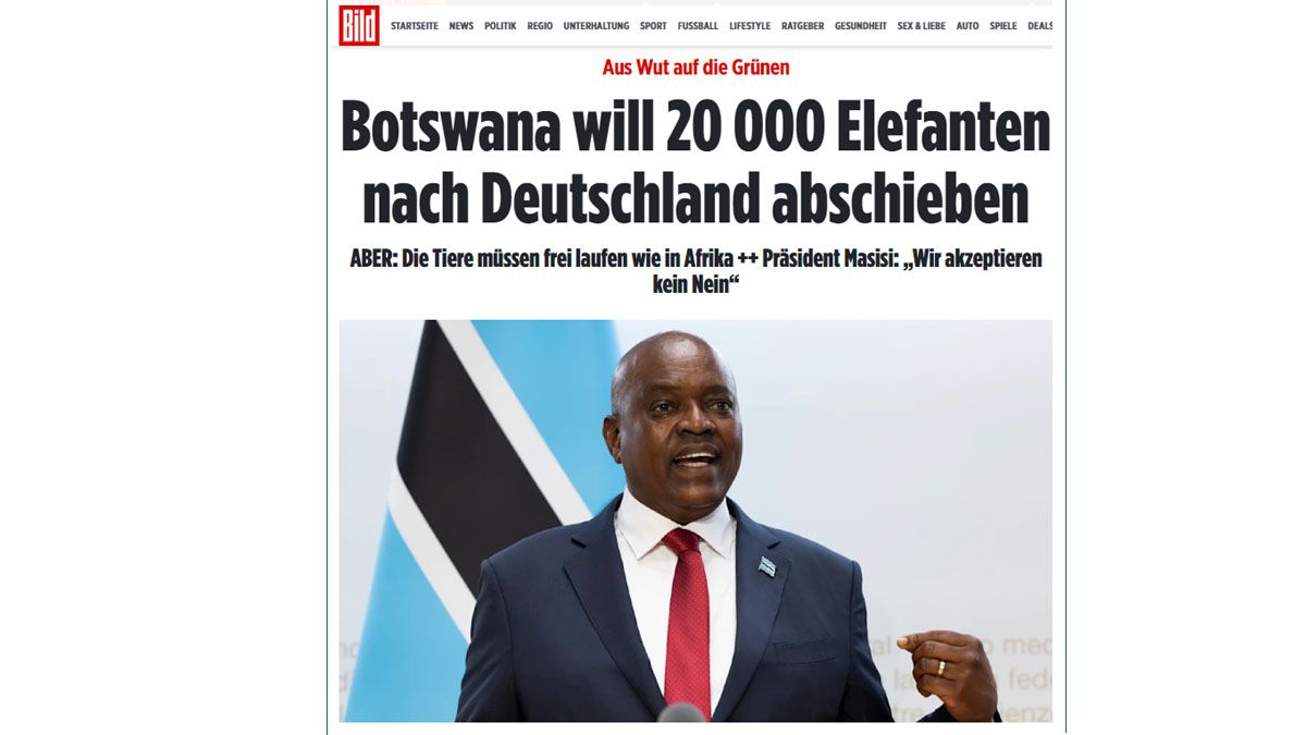 El artículo en Die Bild que causó una polémica entre Alemania y Botsuana por los elefantes (Foto: Die Bild).