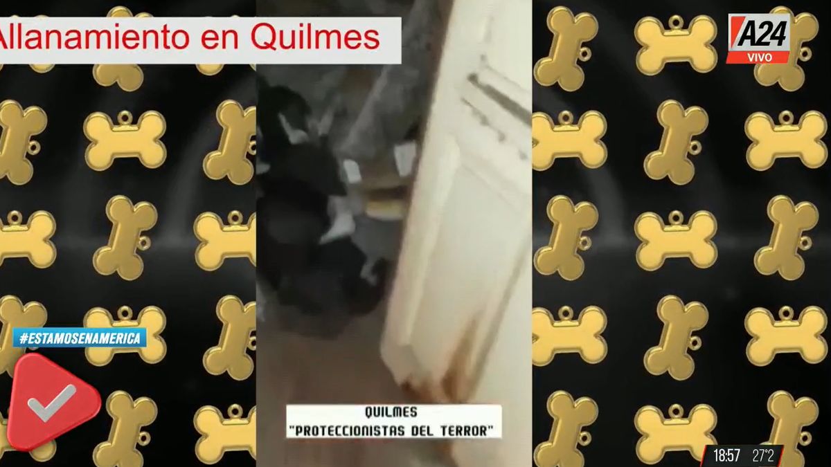 Allanaron en Quilmes un refugio donde había animales muertos y en estado de putrefacción