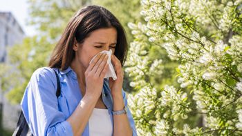 Cómo evitar las alergias que producen los plátanos en primavera
