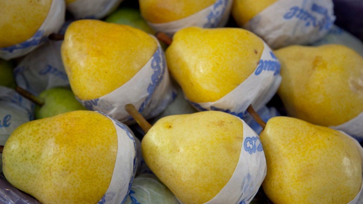 Las exportaciones de frutas frescas crecieron 6% interanual  en los primeros diez meses de 2020