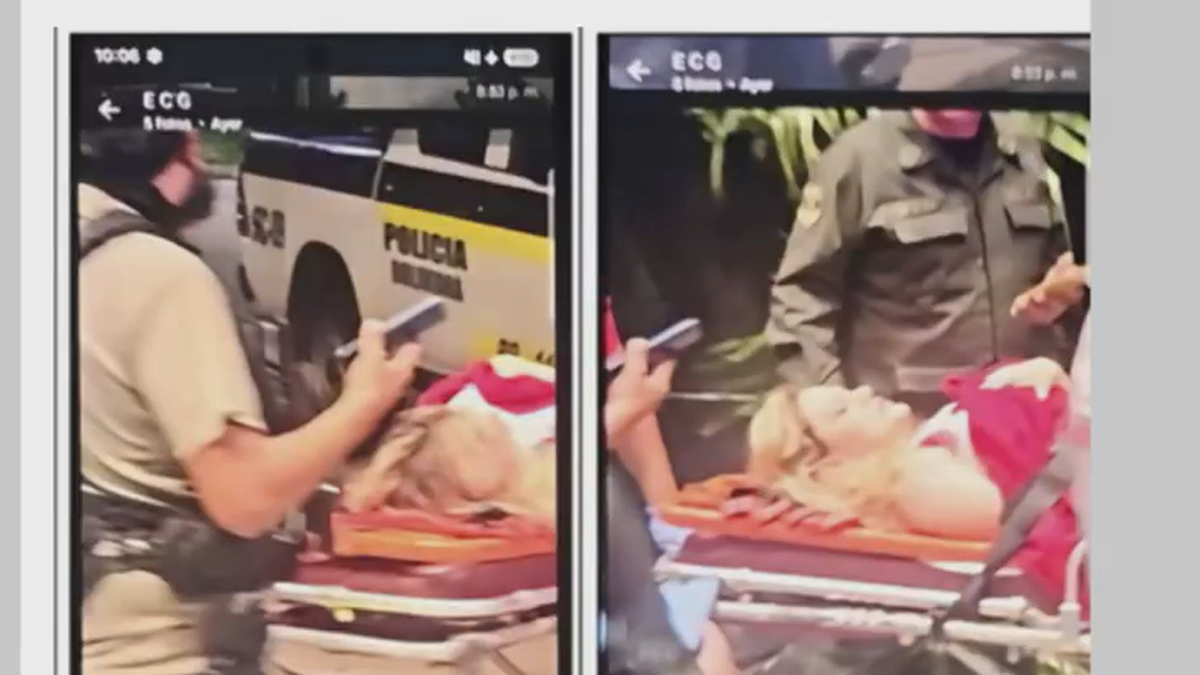 Las imágnes que habría recibido Cerimedo. (Foto: captura)