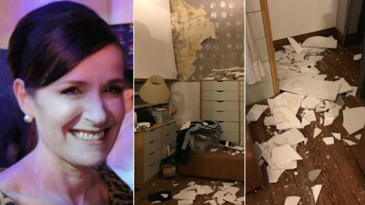 Ana Sans:  Los perros estaban escondidos porque se había caído la mampostería de una pared