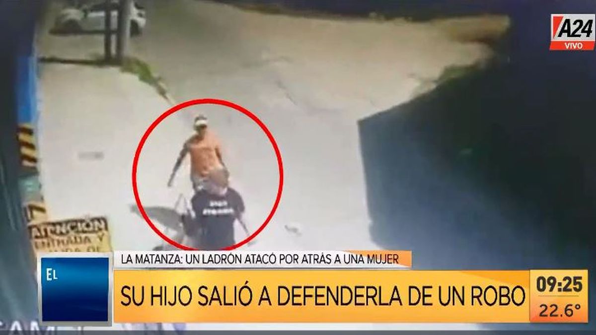 Virrey del Pino: así un niño justiciero se defendió de un robo. (Captura de Tv)