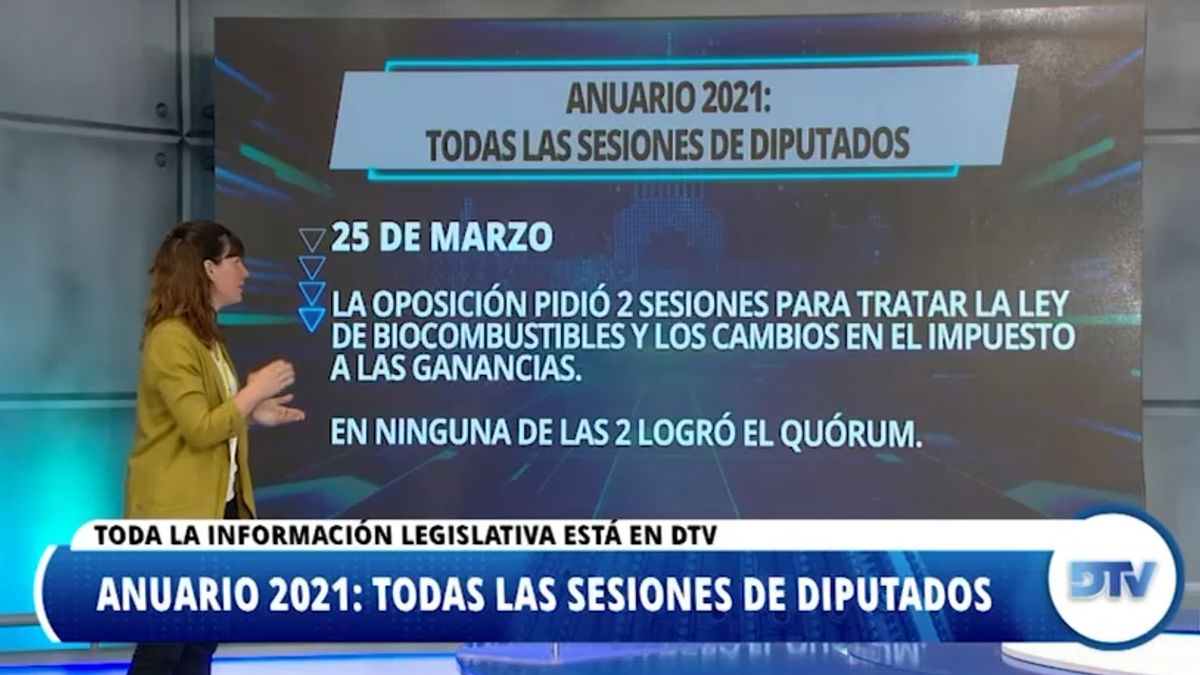 Las leyes que marcaron el año parlamentario en la Cámara de Diputados