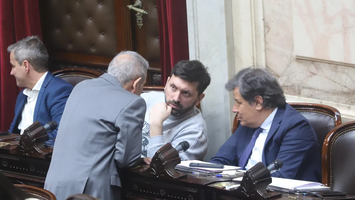 Diputados radicales Pablo Juliano y Facundo Manes en la cámara baja.