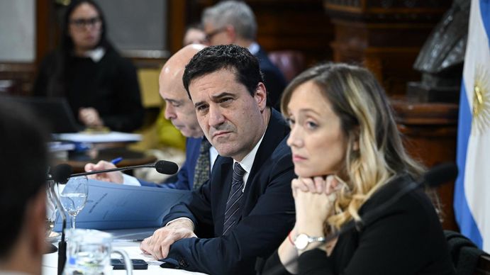 Están los votos para aprobar la ley de inviolabilidad de la propiedad privada, anticipó un senador de la UCR