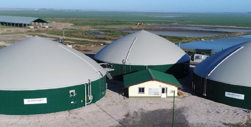&nbsp; Los biodigestores en Cristophersen