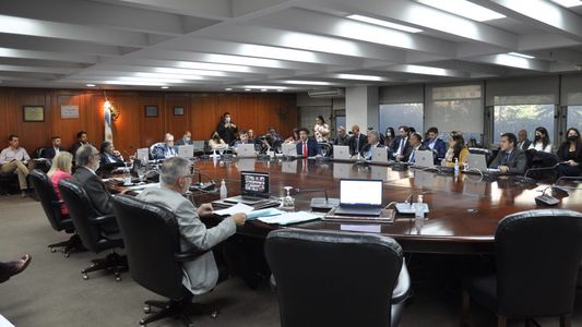 La Justicia le pidió al Senado que explique la designación de Martín Doñate en el Consejo de la Magistratura