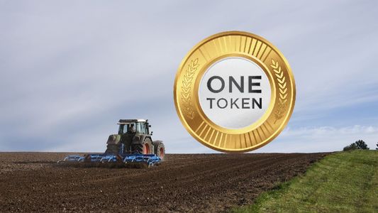 Tokenización de commodities: una oportunidad para impulsar el mercado y promover la inclusión financiera