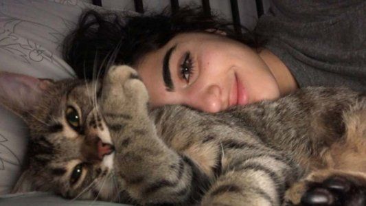 Por estas cosas amamos a los gatos: se había quedado afuera de su casa y él le abrió la puerta