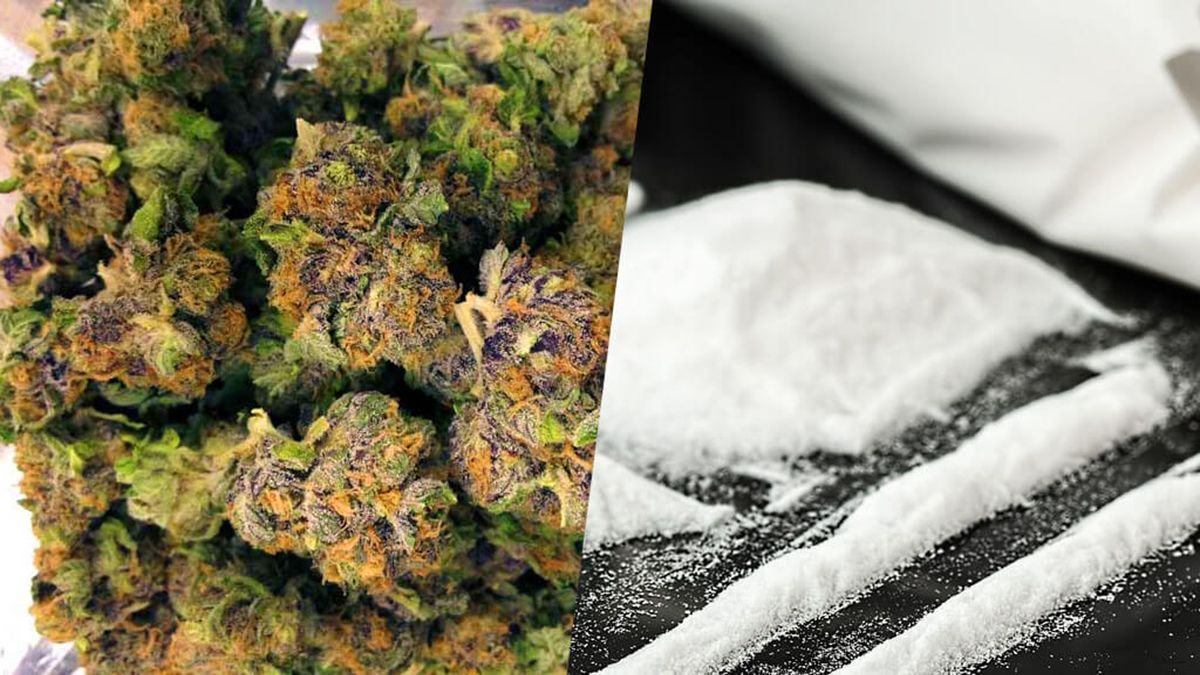 &nbsp;12 personas fueron detenidas y la policía secuestró cocaína y marihuana