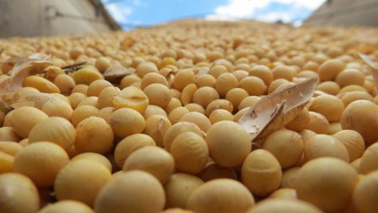 Retenciones en el Congreso: desde la oposición ven la negociación con el FMI como un escollo para eliminarlas