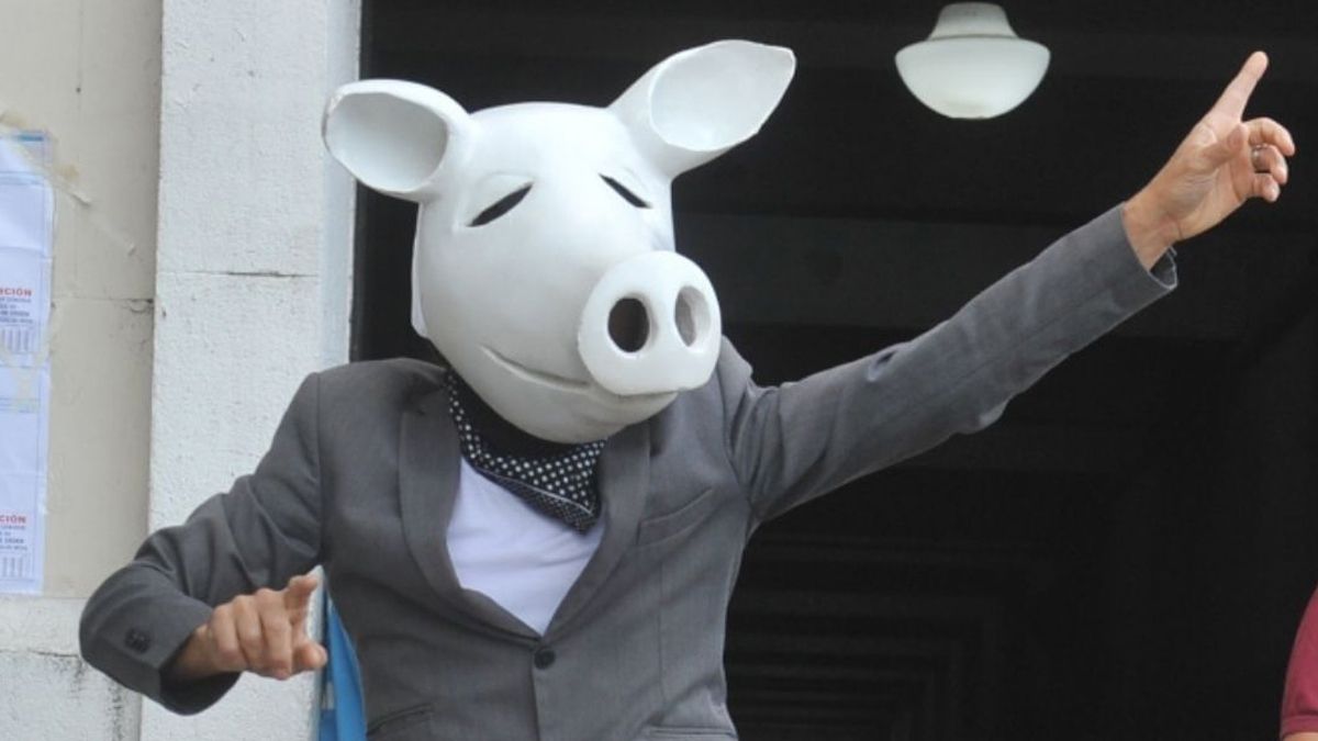 El chancho blanco votó en la Facultad de Derecho y alabó a Domingo Sarmiento.