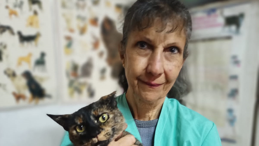 A 40 años de Malvinas, la historia de Liliana Colino, la única mujer que llegó a las islas: Esa era la ilusión de mi vida