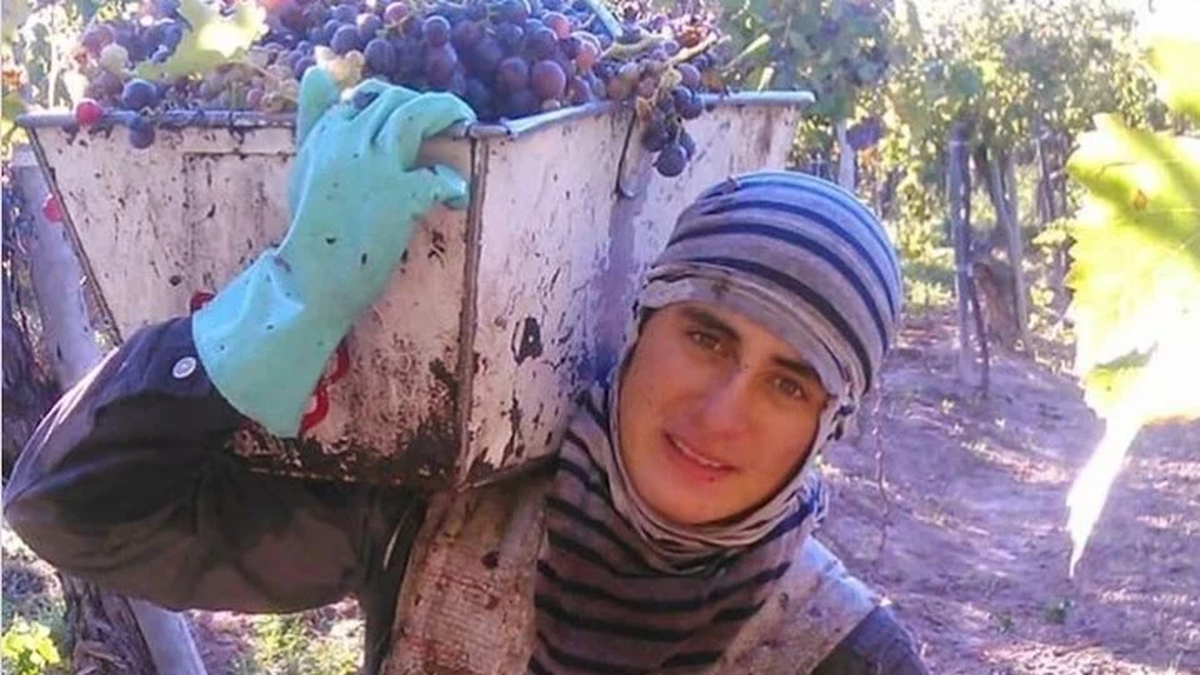 Se recibió de ingeniero y lo logró gracias a pagar sus estudios con la cosecha de uvas