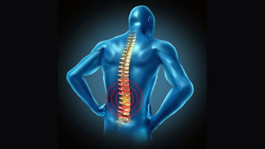 Gustavo Conti le donará parte de su médula a su hermano: ¿en qué consiste este tipo de trasplante?