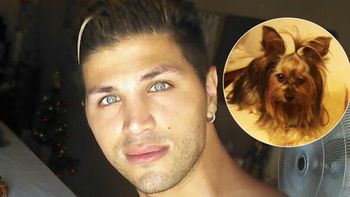 El drama de Rodrigo Díaz por la desaparición de su perro: la otra campana de la historia