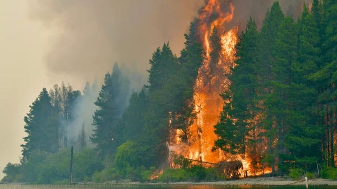 Incendios en Chubut: reabrieron la Ruta 40 y alertan por el avance del fuego