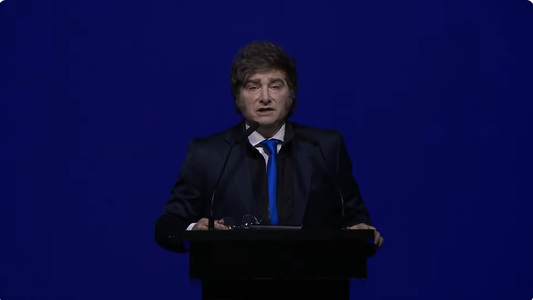 Milei habló sobre las elecciones en la provincia de Buenos Aires: Podrían significar el fin del kirchnerismo