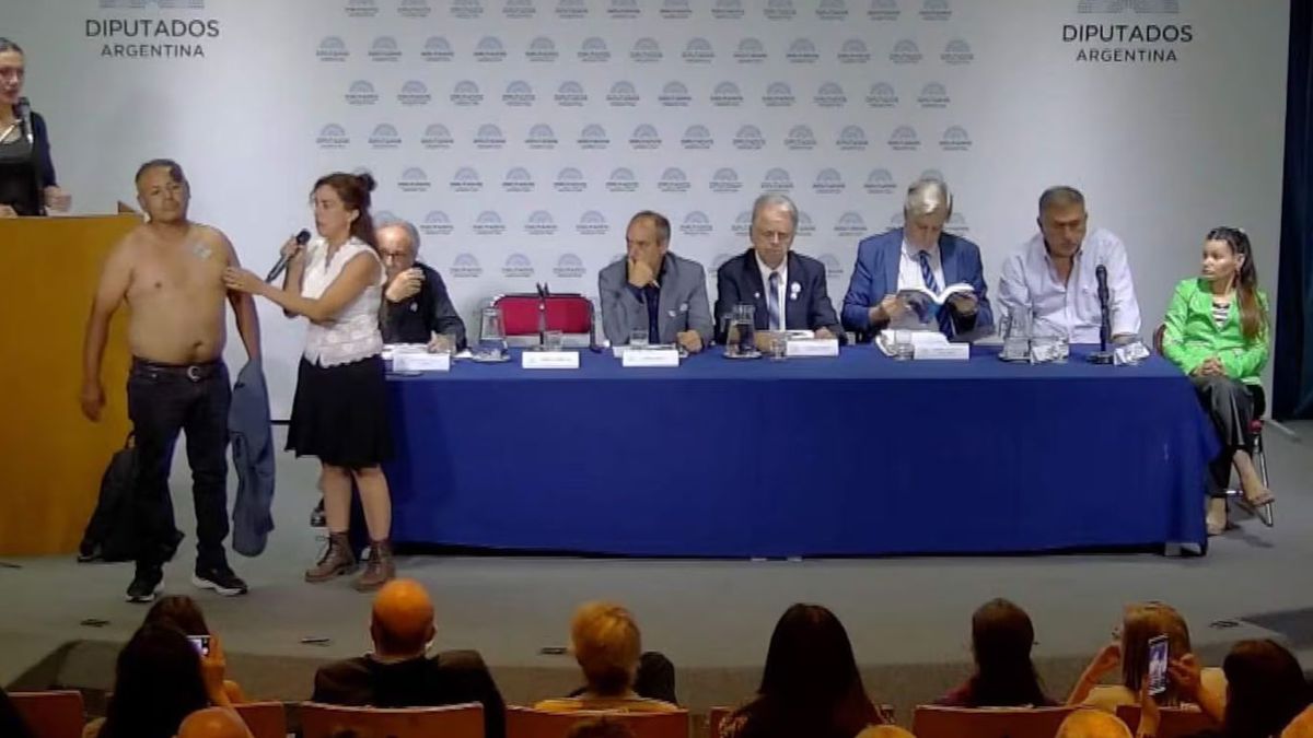 Magnetismo corporal: el insólito acto antivacunas que sorprendió al Congreso y estalló en las redes. (Foto: captura de video)