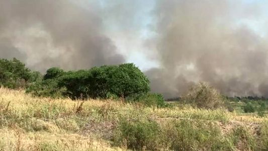 Zárate: combaten un incendio de pastizales cerca de Atucha I