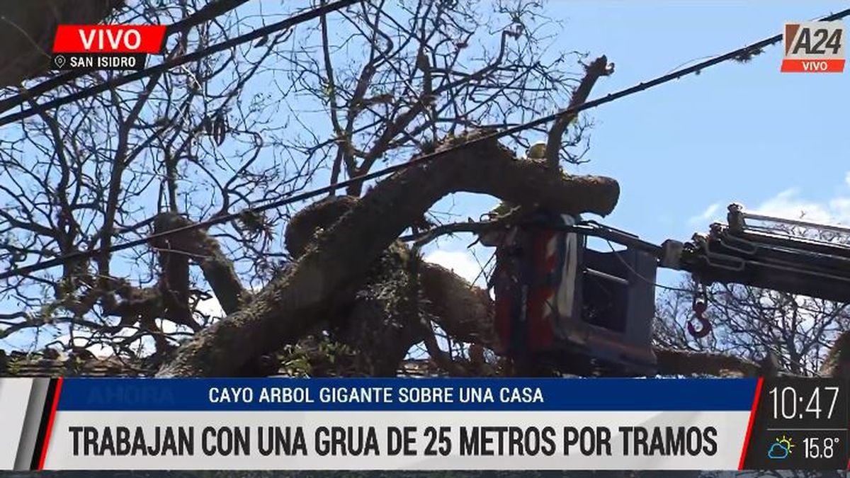 Lo que dejó el temporal de ráfagas de viento en San Isidro. (Captura de Tv)