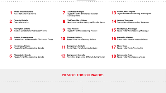 Toyota y su ecosistema para el efecto mariposa