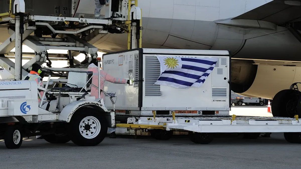 Vacunas de Pfizer para la tercera dosis como refuerzo en el Uruguay (Foto: AP)