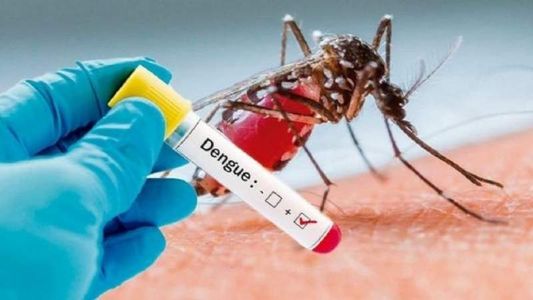 Confirmaron los primeros seis casos de dengue en Jujuy, ¿cuáles son los síntomas?