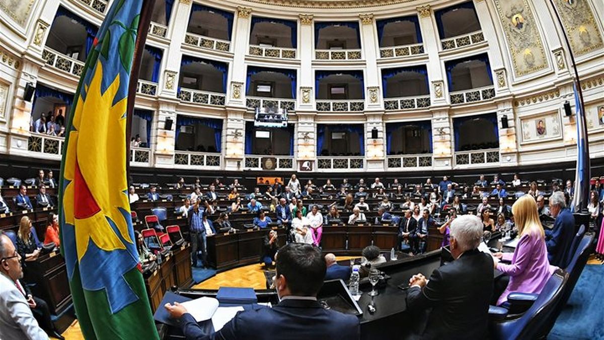 Senado de la provincia de Buenos Aires (Foto: archivo)