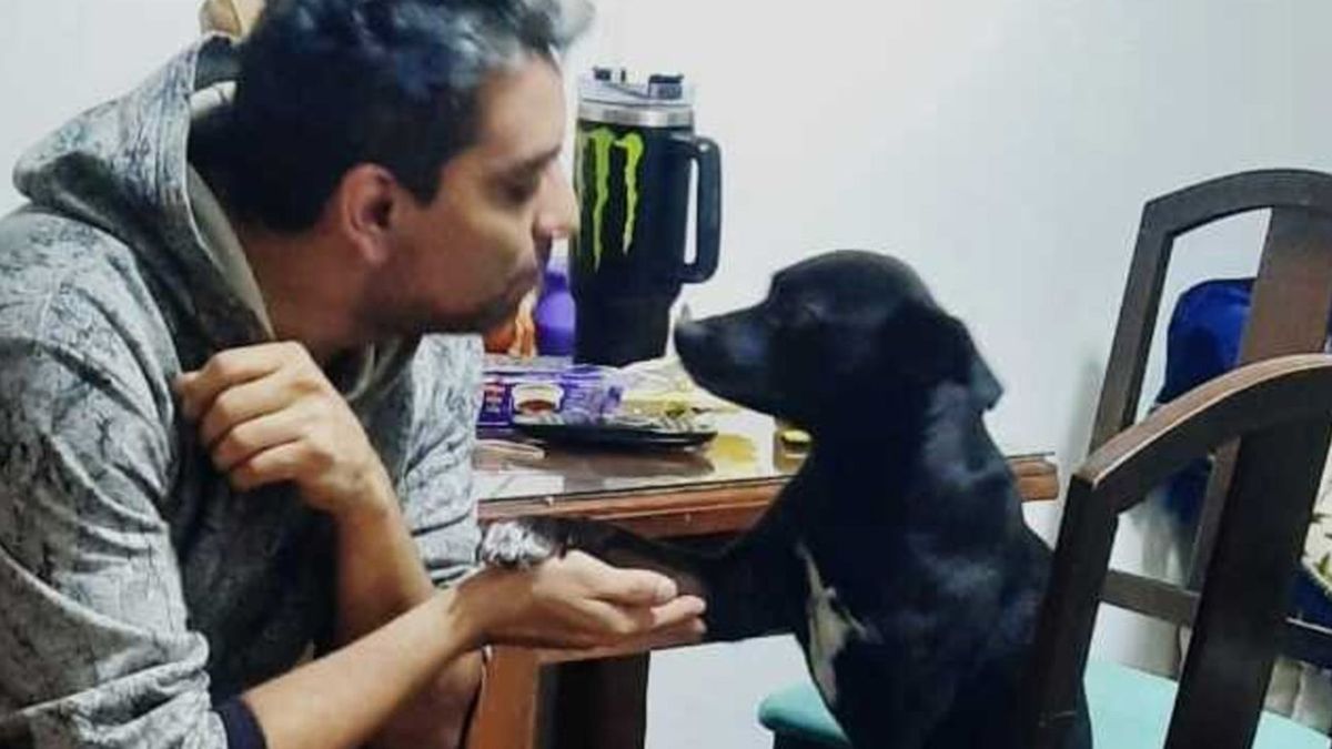 lises junto a Román