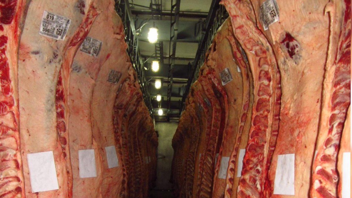 Ignacio Iriarte: “China está volviendo y tiene la intención de importar grandes cantidades de carne”