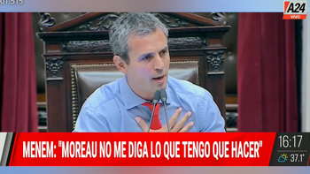 Ley Ómnibus: Martín Menem le apagó el micrófono a Cecilia Moreau durante un cruce en el debate en Diputados. (Foto captura A24) Ley Ómnibus: Martín Menem le apagó el micrófono a Cecilia Moreau durante un cruce en el debate en Diputados. (Foto captura A24)