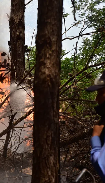 Incendios en Corrientes: se reactivaron focos de fuego en zonas de esteros