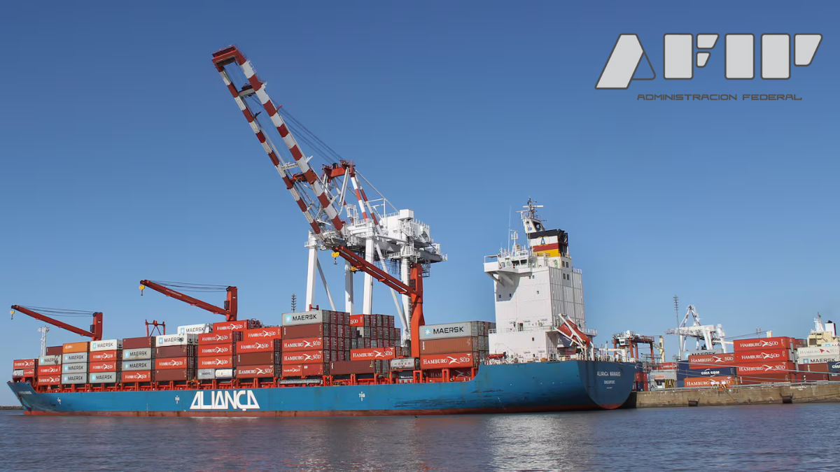 La AFIP oficializó cambios para las importaciones y las exportaciones: los detalles de la normativa