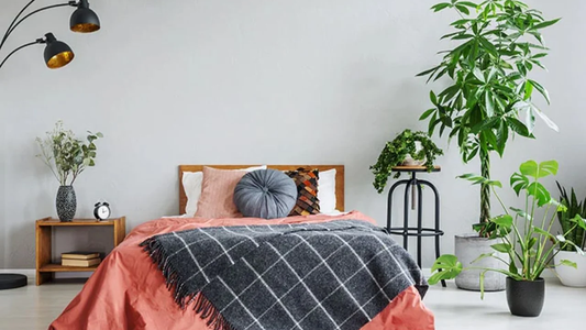 Mito o verdad: ¿es peligroso dormir con plantas en la habitación?