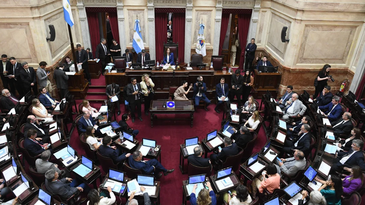 El Senado debate la suspensión de las PASO, la Ley Antimafias, Juicio en Ausencia y Reiterancia