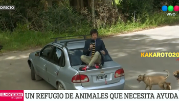 Una jauría de perros acorraló y atacó a Robertito Funes, en vivo