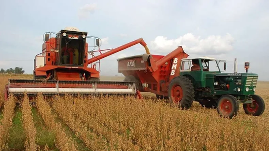 Progresa la siembra de soja en Santa Fe por óptimas condiciones del suelo