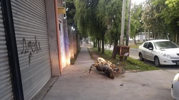 La moto en la que viajaban los dos delincuentes. Foto: Política del Sur.&nbsp;