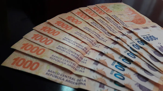 IFE 4 ANSES: estos son los programas compatibles con el bono de $ 18.000