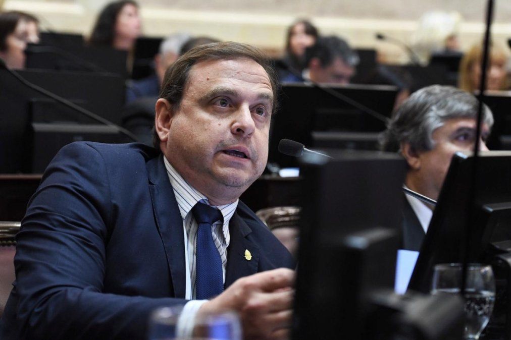 La carta que rompió el bloque del Frente de Todos en el Senado (foto: archivo)