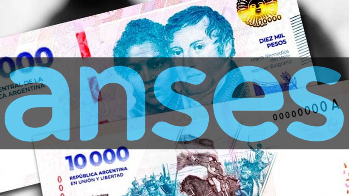 TRIPLE AUMENTO para la AUH en enero: a cuánto se va (Foto: archivo)