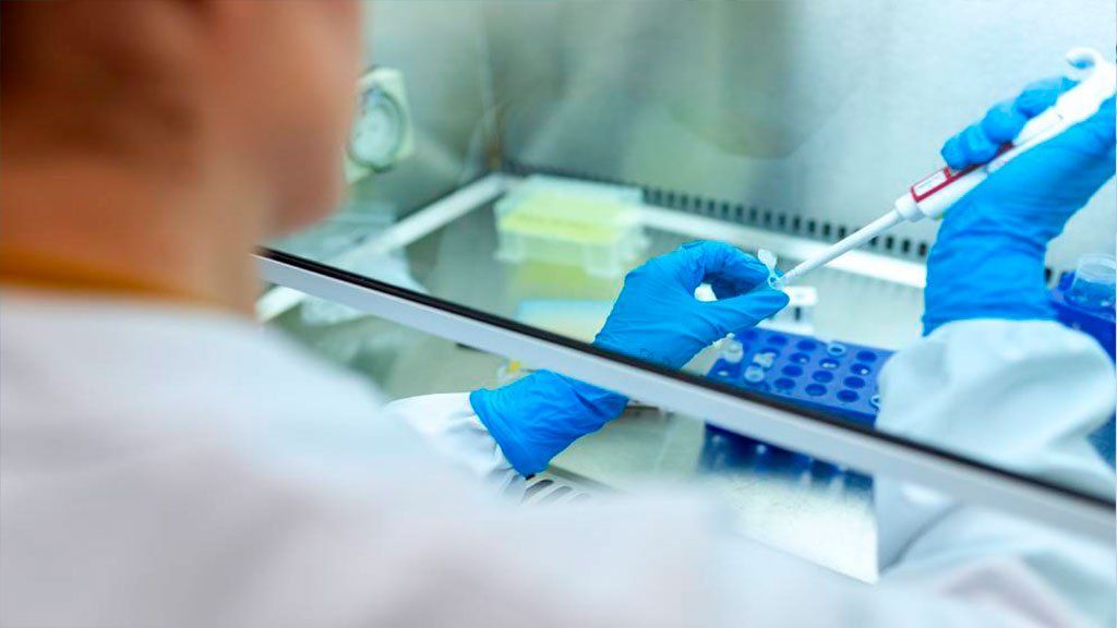 Coronavirus: La UBA realizará estudios con animales para probar la eficacia de una vacuna