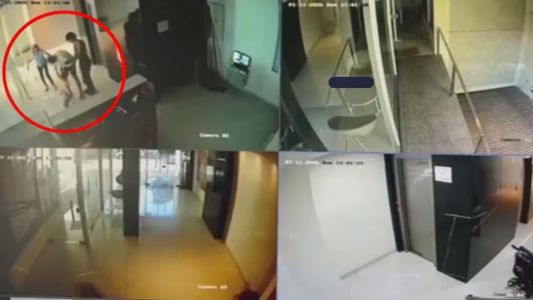 Indignante video: un hombre le pegó salvajemente a un perro porque le ladró a su hija en el hall